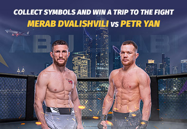 ms_dvalishvili-fight-trip