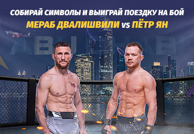 ms_dvalishvili-fight-trip